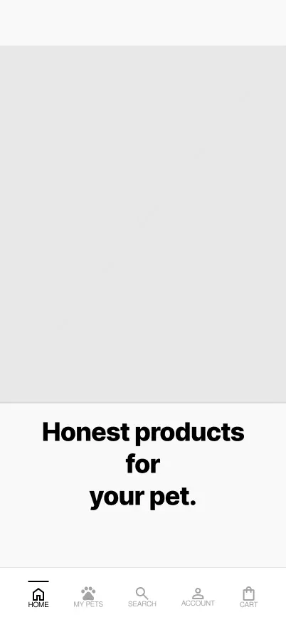 Homepage lofi mockup